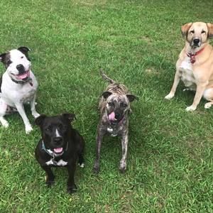 Meet your Posher, Katherine